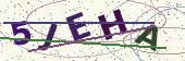Security code image